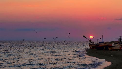 Silhouette birds flying over sea against sky during sunset