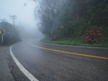 View of street amidst plants and road