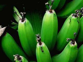 Close-up of bananas