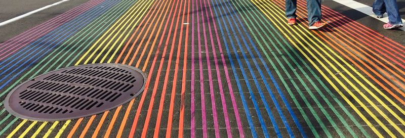 Close-up of multi colored pool