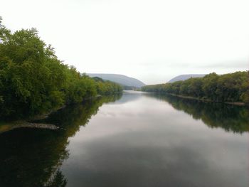 Reflection of trees in water