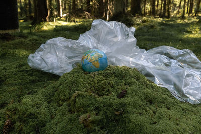 plastic bag