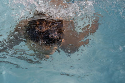 High angle view of girl swimming in pool