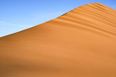 Flying to the dune. namib desert, sossusvlei, namibia.