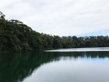 Scenic view of lake by trees against sky