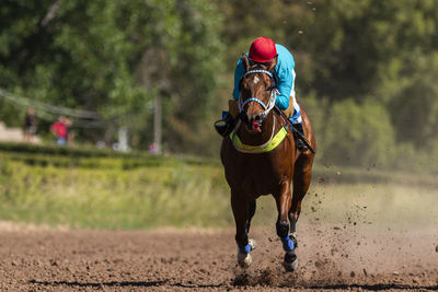 Last 200 meters at the mendoza racecourse in what was the first post-pandemic race. 