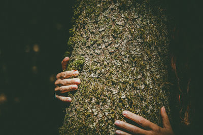 Close-up of woman embracing tree trunk