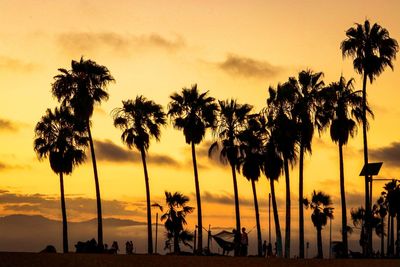 Silhouette palm trees against sky during sunset