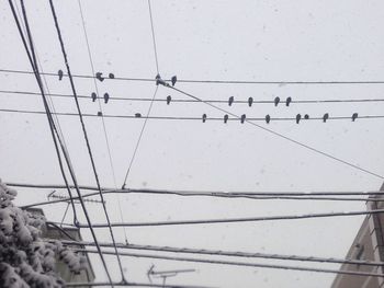 Low angle view of power lines