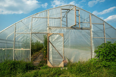 Exterior of garden greenhouse with tomato plants visible inside open door. blue sky green grass