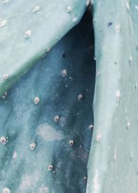 Full frame shot of raindrops on wood
