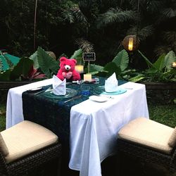 Table and chairs on tree