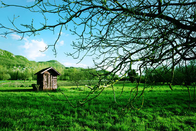 Log cabin on grass lawn