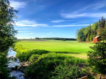 Scenic view of field against sky