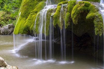 Scenic view of waterfall in forest