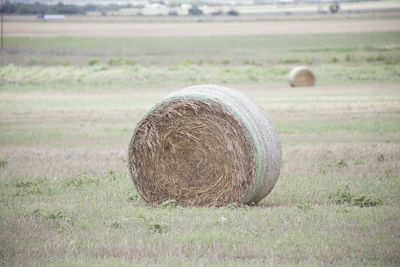 Hay bales on field