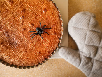 Close-up of spider on table