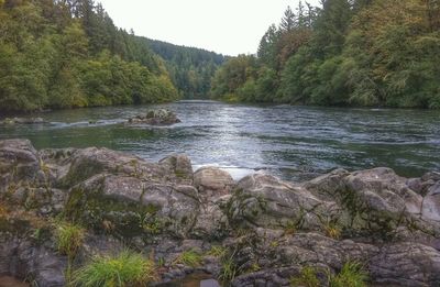 Scenic view of river in forest against sky