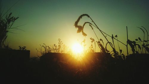 View of sky at sunset