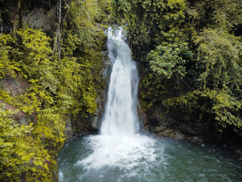 Scenic view of waterfall in forest