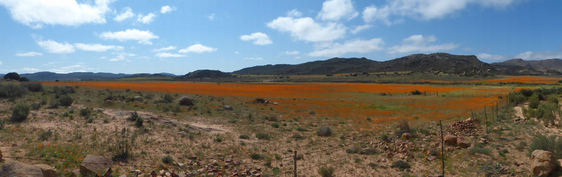 Panoramic shot of countryside landscape against sky