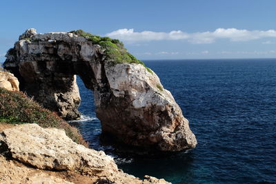 Close-up of rock in sea against clear sky