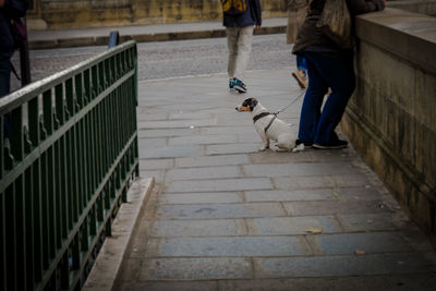 Full length of people walking in city