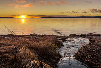 Scenic view of sunset over sea