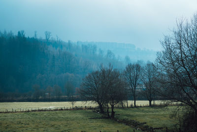 Trees on field against sky during winter