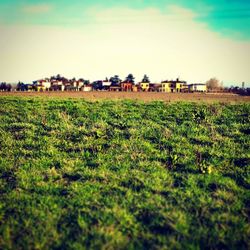 Scenic view of field against sky