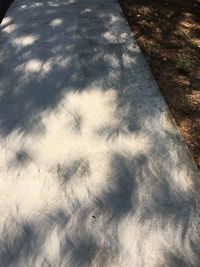 Close-up of shadow on water