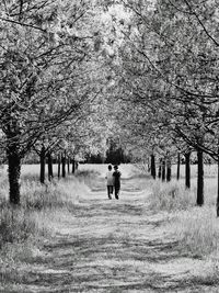 People walking on grassy field