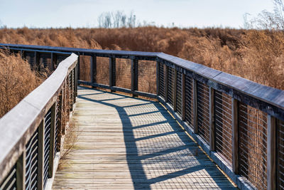 Empty boardwalk over swamp