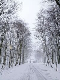 Snow covered trees against sky