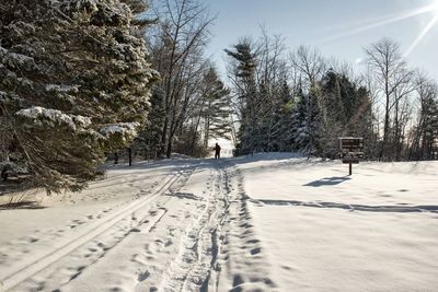 Snow covered road amidst trees on field against sky