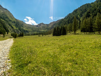 Scenic view of landscape against sky