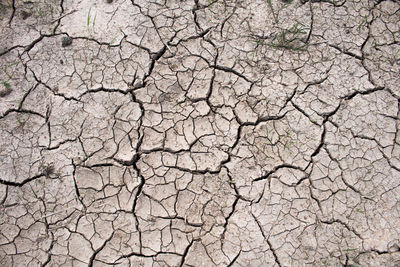 Close-up of cracked land