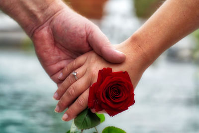 Cropped image of couple holding hands with rose