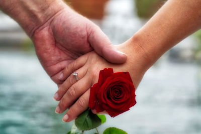 Midsection of woman holding rose bouquet