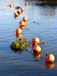 High angle view of ducks swimming in lake