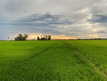 Scenic view of field against sky during sunset