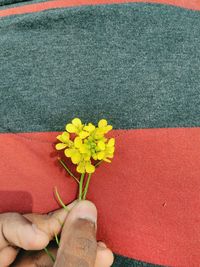 Low section of person on yellow flower