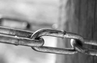 Close-up of chain on metal fence