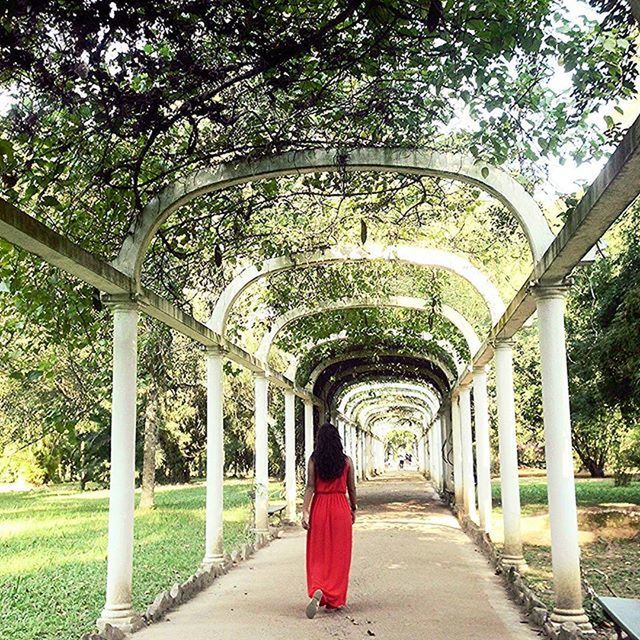 tree, the way forward, railing, park - man made space, arch, built structure, architecture, footpath, diminishing perspective, growth, rear view, green color, day, sunlight, walkway, architectural column, street light, lighting equipment