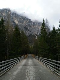 Road amidst trees in forest against sky