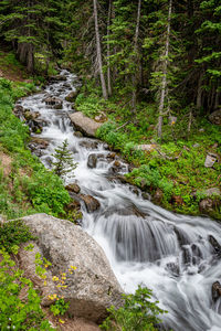 Scenic view of waterfall in forest