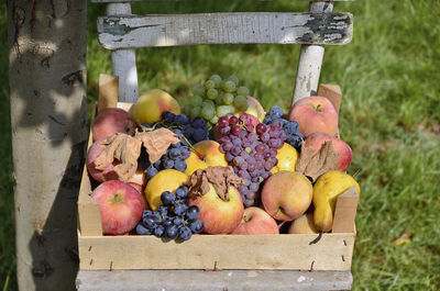 Various fruits in container on field