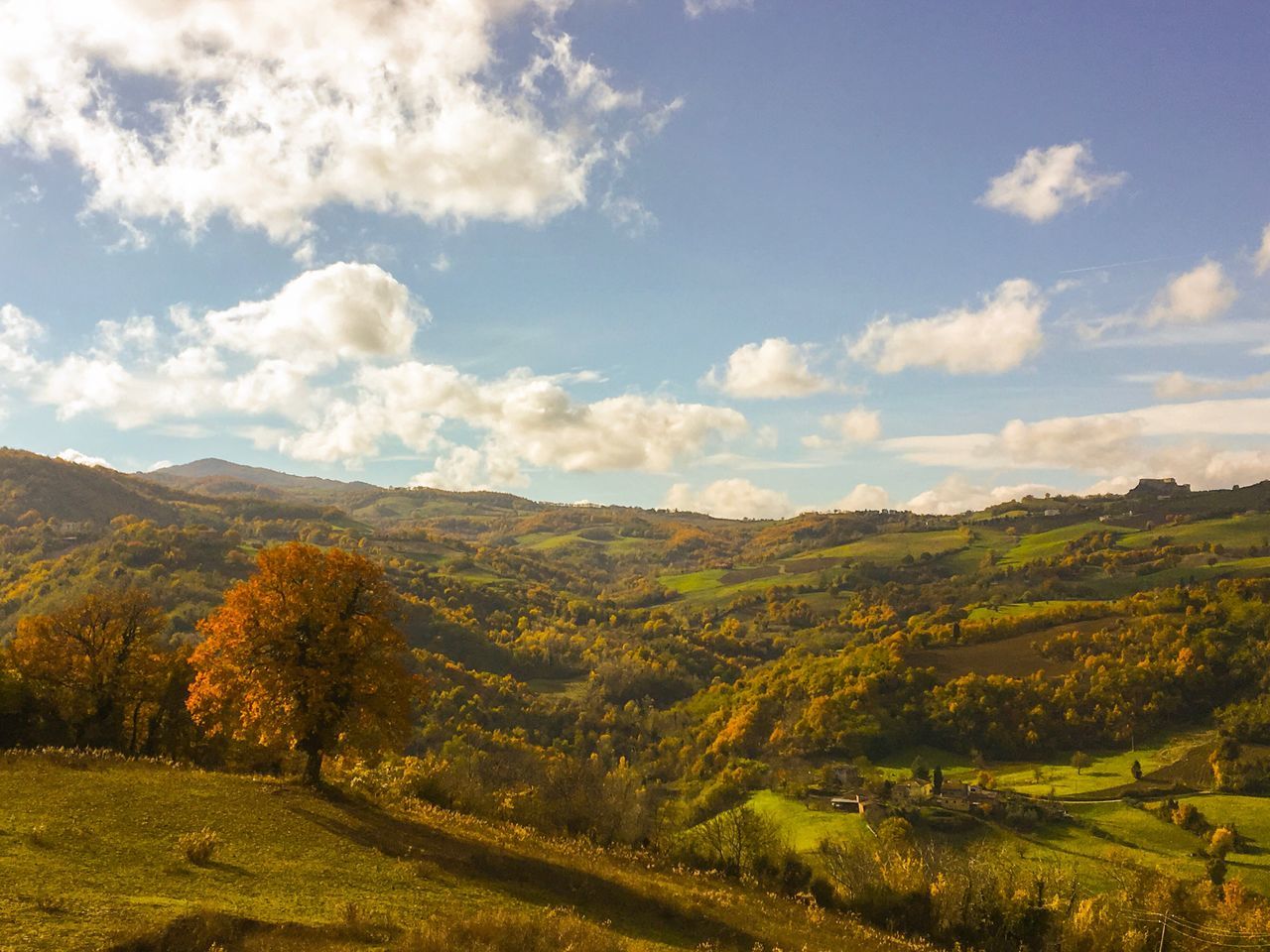 nature, autumn, sky, cloud - sky, beauty in nature, landscape, mountain, scenics, rural scene, agriculture, vineyard, field, mountain range, outdoors, winemaking, tranquil scene, tree, no people, day