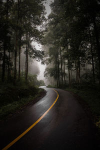 Empty road along trees in forest