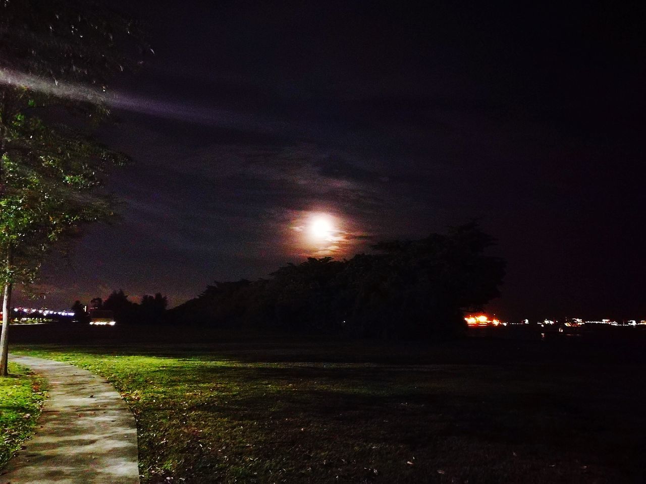 PANORAMIC VIEW OF FIELD AGAINST SKY AT NIGHT